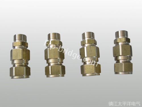 黃銅铠裝(zhuāng)電纜密封接頭